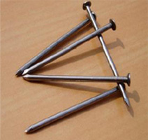 Common Wire Nail