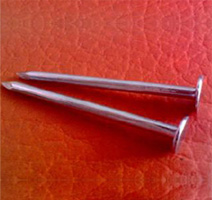 Roofing Nail